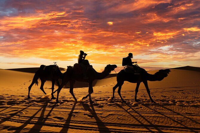 3 Days Desert Tour from Fes to Marrakech via Merzouga - What Makes This Tour Stand Out?