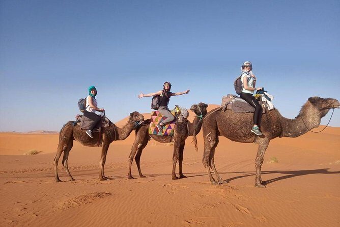 3 Days Desert Tour From Marrakech To Merzouga & Camel Trek - Who Should Consider This Tour?
