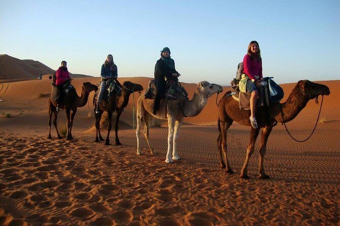 3 Days Desert Tour From Marrakech To Merzouga & Camel Trek - The Sum Up