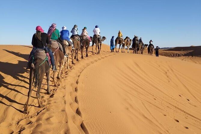3 Days Desert Tour From Marrakech To Merzouga dunes & camel trek - Transportation and Group Dynamics