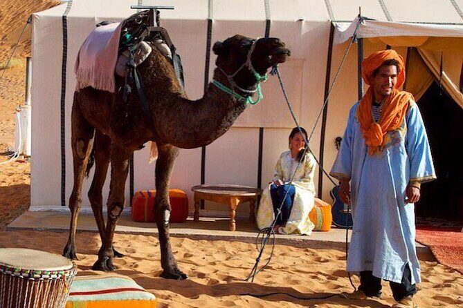 3 Days Desert Tour From Marrakech To Merzouga Dunes & Camel Trek - Day Three: Sunrise, Camel Ride Back, and Return to Marrakech