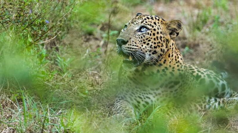 3 Days - Different discovery private wildlife tour - Overview of the 3-Day Wildlife Tour