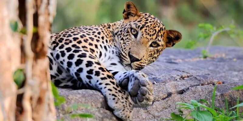 3 Days - Different discovery private wildlife tour - The Value of the Experience