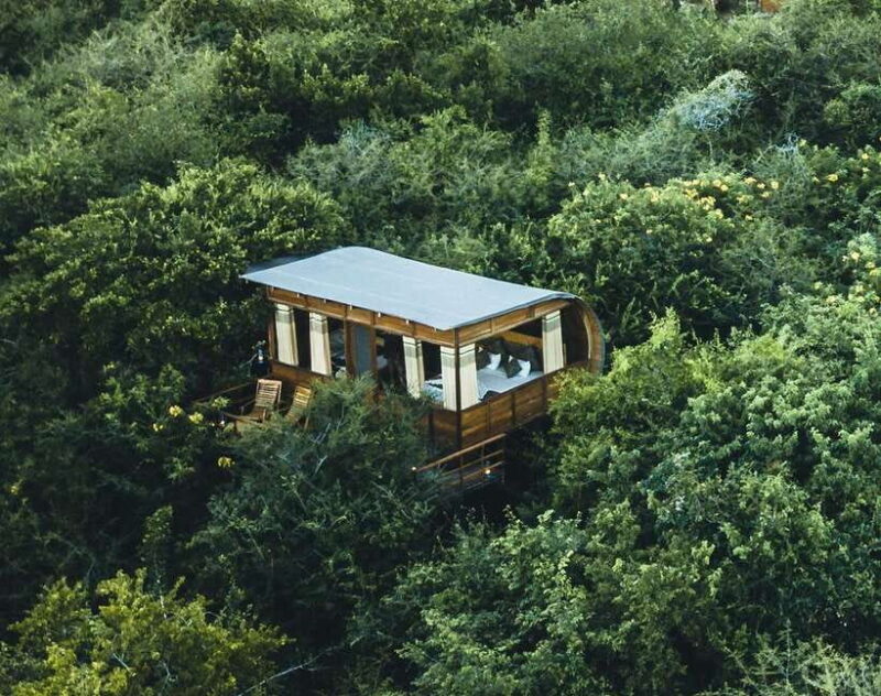 3 Days - Different discovery private wildlife tour - FAQ