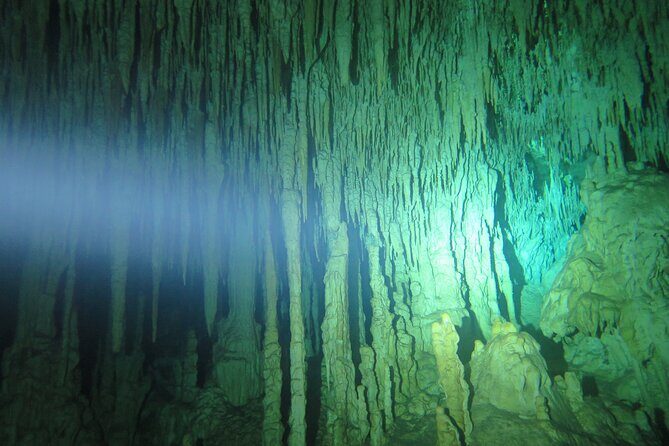 3 days diving in cenotes for certified divers - A Closer Look at the Cenote Diving Experience