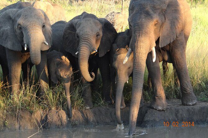 3 Days Durban Safari Tour Package - Frequently Asked Questions