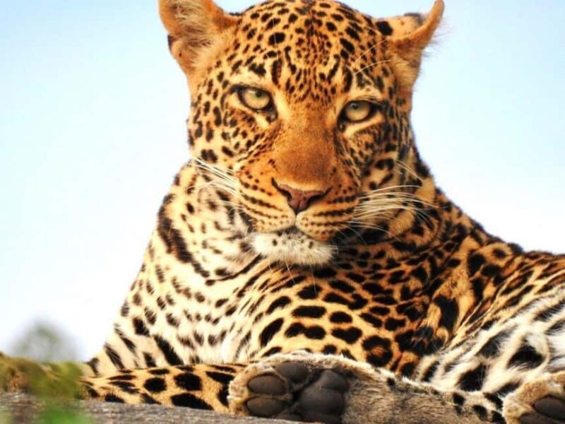 3-Days Exclusive Luxury Private tour (All Inclusive) - Practical Tips for Travelers