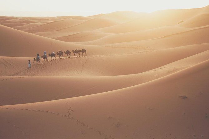 3 Days Excursion - 2 Night to Merzouga from Marrakech - Cost and Value