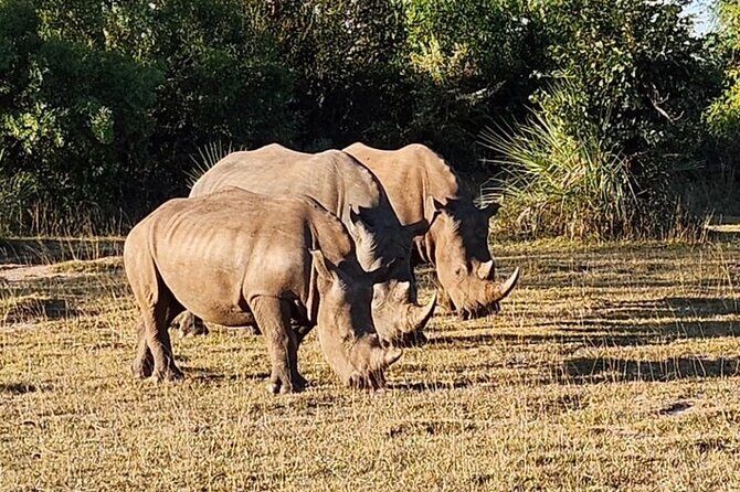 3 Days Explore Zambia Zimbabwe and Chobe Park in Botswana - Frequently Asked Questions