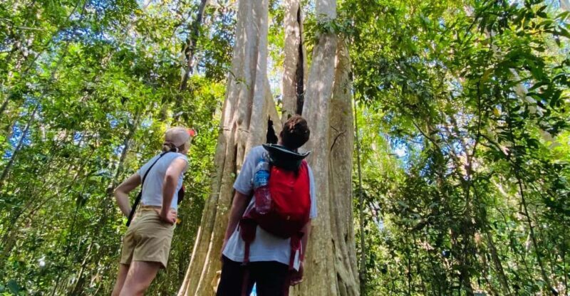 3 days Exploring Cat Tien national park from Dalat - A Closer Look at the 3-Day Experience