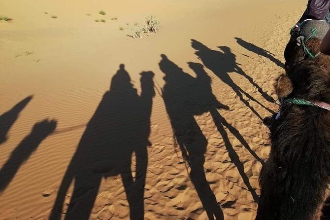 3 Days Fez to Marrakech via Sahara - Who Should Consider This Tour?