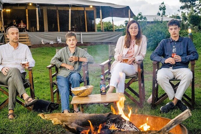 3 Days Fly in & Out Serengeti Park - Value and Pricing: Is It Worth It?