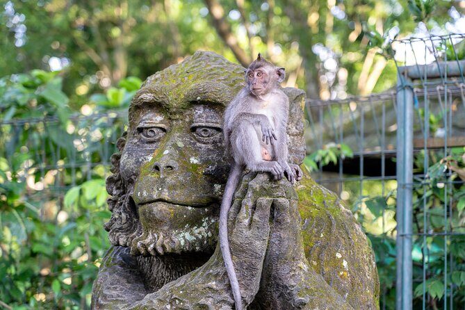 3 Days for the best of Ubud Private Tour - The Breakdown: What Makes This Tour Stand Out