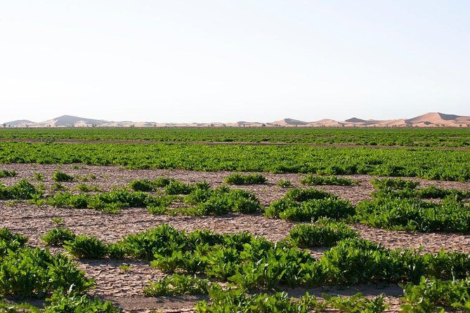3 Days From Marrakech To Erg Chigaga - Practical Tips for Future Travelers