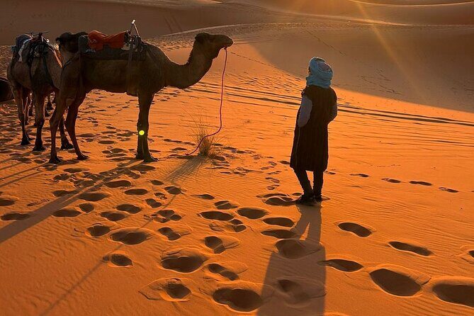 3 days from Marrakech to Merzoga: Camel ride and Lux tent - Key Points