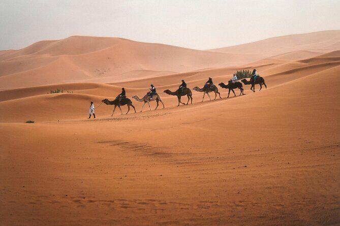 3 days from Marrakech to Merzoga: Camel ride and Lux tent - Day 2: Into the Heart of the Sahara
