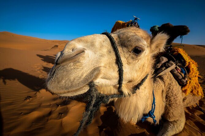 3 days from Marrakech to the Dunes of Merzouga - A Closer Look at the Itinerary: What You’ll Experience