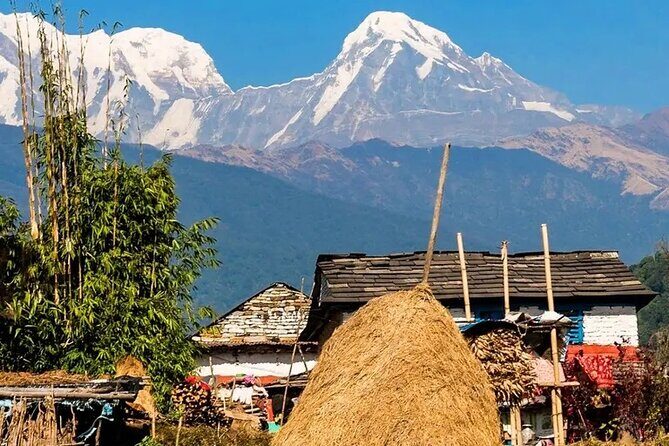 3 Days Ghorepani and Poonhill Private Trek from Pokhara - Detailed Breakdown of the Trek Experience