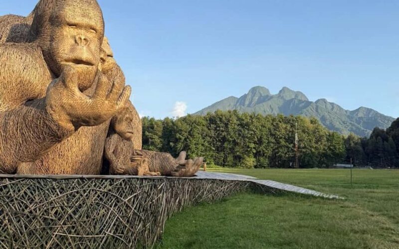 3 Days Gorilla trekking in the volcanoes national park - The Real Value of This Experience