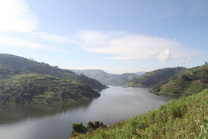 3 Days Gorilla trekking tour - An In-Depth Look at What the Tour Entails