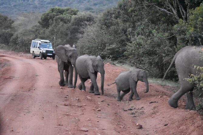 3 days group joining safari to Maasai Mara with a Land Cruiser Jeep - The Itinerary—Step-by-Step Breakdown