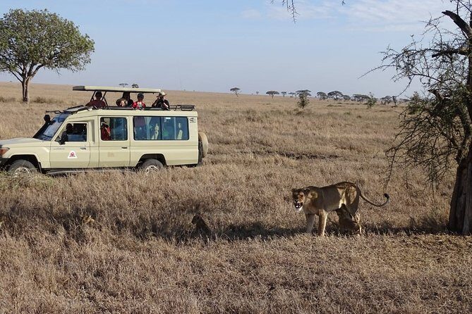 3 days group joining safari to Maasai Mara with a Land Cruiser Jeep - Final Thoughts