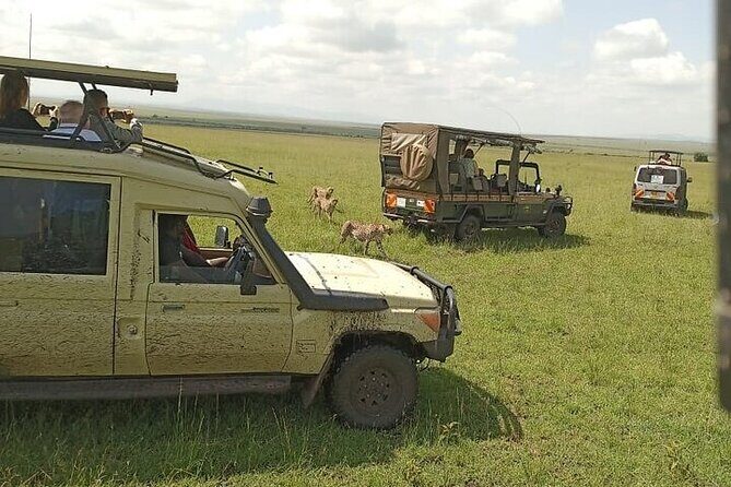 3 days group joining safari to Masai Mara with a Land CruiserJeep - Final Words