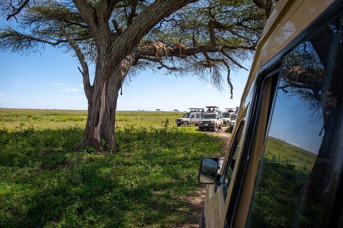 3 Days Group Safari Serengeti & Ngorongoro - Key Points