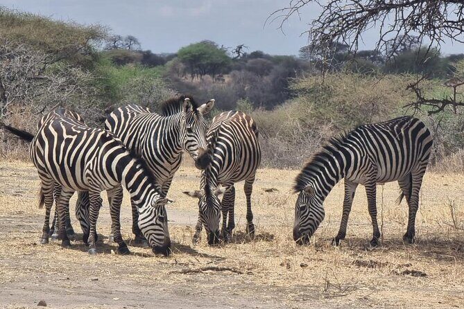 3 Days Group Safari Serengeti & Ngorongoro - FAQ