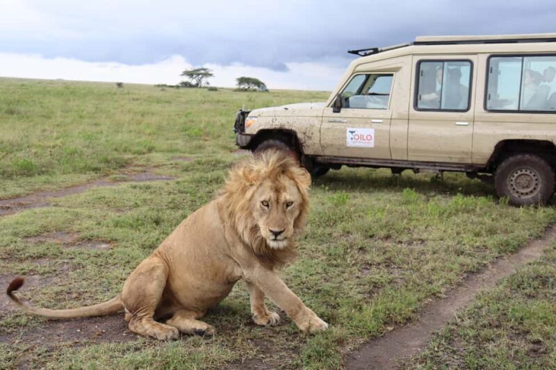 3 Days Group Tour Tarangire, Lake Manyara Ngorongoro Crater - Key Points
