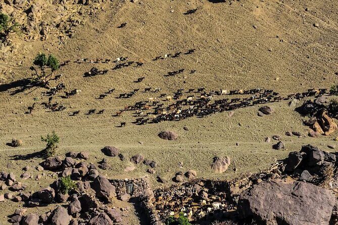 3 Days in Atlas Mountains & waterfall and Berber culture - Final Thoughts: Is It Worth It?