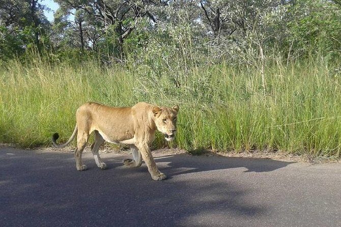 3 Days Johannesburg - Kruger Safari- Blyde River Canyon - Authentic Experiences and Highlights