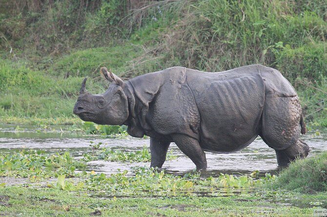 3 Days Jungle Safari in Chitwan National Park - Starting Off: From Kathmandu to Chitwan