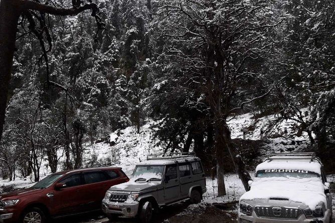 3 Days Kalinchowk Trekking from Kathmandu - What Makes This Trek Special?