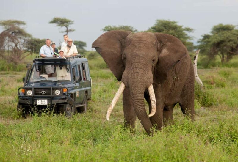 3 Days - Lake Manyara, Ngorongoro Crater and Tarangire - What to Expect: Day-by-Day Breakdown