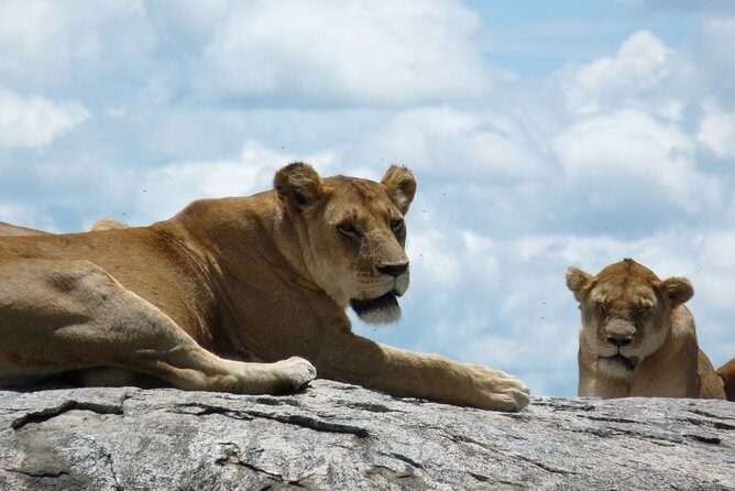 3 Days Lodge Safari - Who Will Love This Safari?