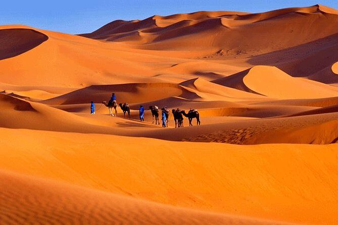 3 Days Luxury Camp in Merzouga with Camel Ride - What Travelers Say