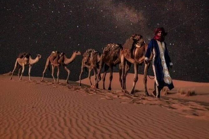 3 Days Luxury Desert Tour From Fes To Marrakech via Merzouga - The Sum Up