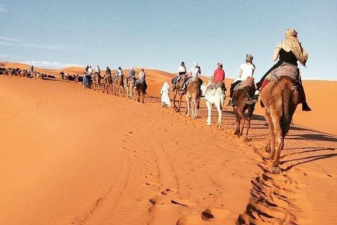3 Days Luxury private Desert Tour From Fez to Marrakech - FAQs
