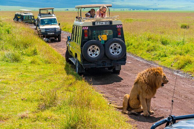 3 days Luxury Safari Tour in Tanzania - Introduction: A Taste of Tanzania’s Wilderness in Style