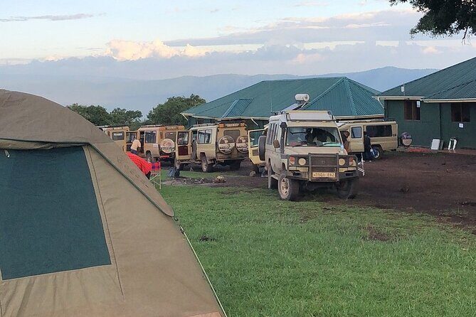 3 days Luxury Safari Tour in Tanzania - Authentic Experiences and Genuine Praise