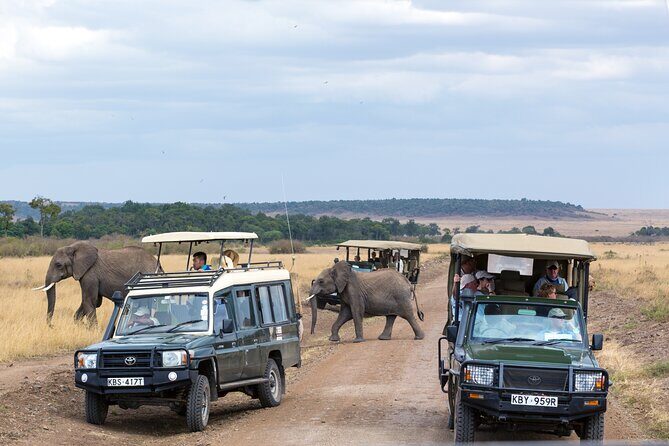 3 days Luxury Safari Tour in Tanzania - The Sum Up: Who is This Tour Best For?
