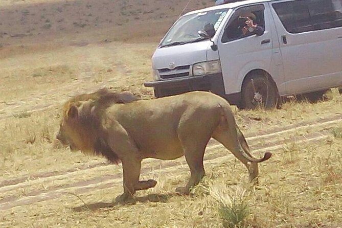 3 Days Maasai Mara Budget Group Safari - Key Points