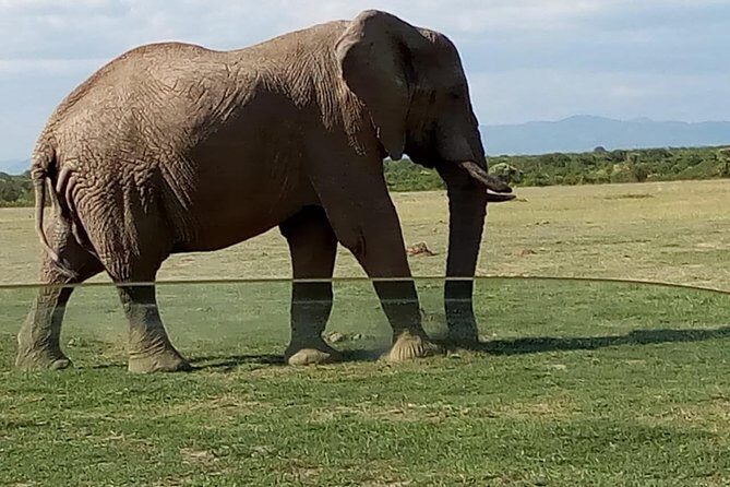 3 Days Maasai Mara Budget Group Safari - Cancellation and Booking