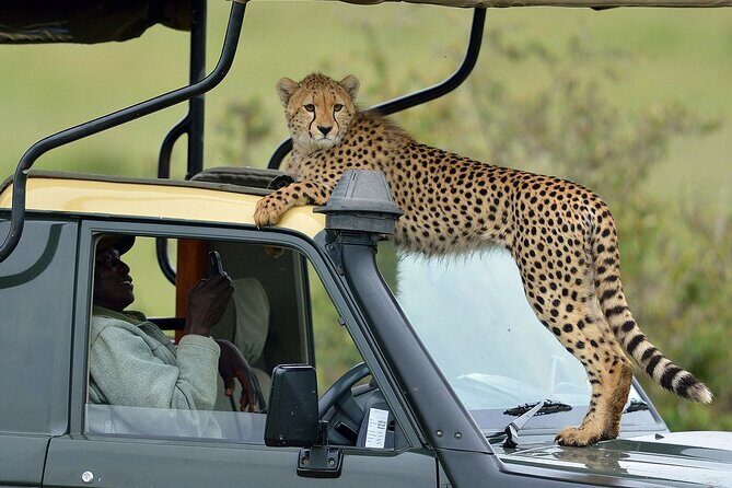 3-Days Maasai Mara Camping Safari on 4x4 Land Cruiser Jeep - Key Points