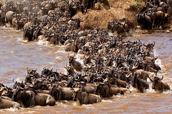 3-Days Maasai Mara Camping Safari on 4x4 Land Cruiser Jeep - The Practicalities: What’s Included and What’s Not