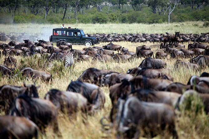 3-Days Maasai Mara Camping Safari on 4x4 Land Cruiser Jeep - What the Reviews Say