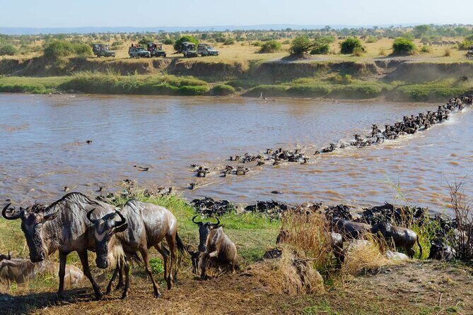 3-Days Maasai Mara Camping Safari on 4x4 Land Cruiser Jeep - FAQ