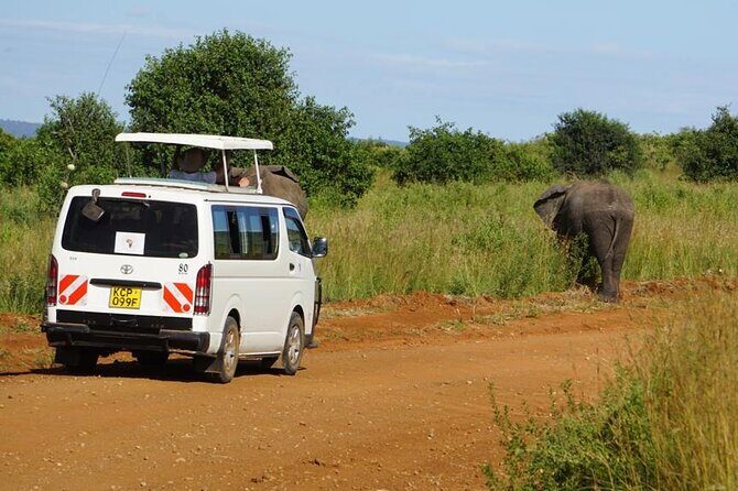 3 Days Maasai Mara Guided Safari from Nairobi - Deep Dive into the Itinerary and Experience