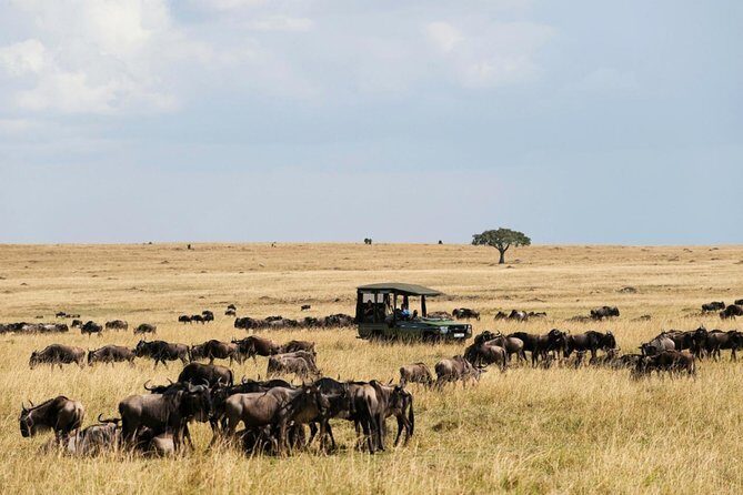 3 Days Maasai Mara Guided Safari from Nairobi - FAQ (Frequently Asked Questions)